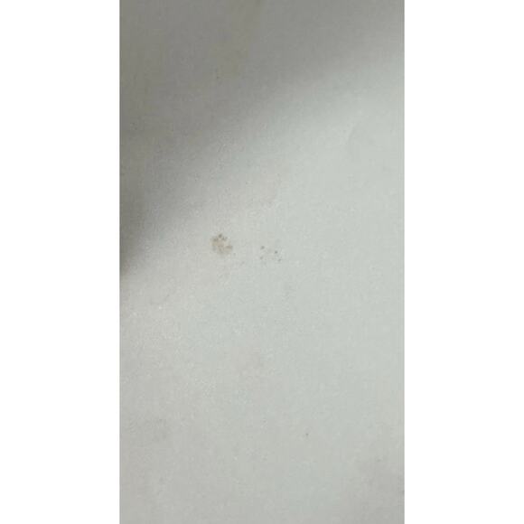 VTG San Diego Zoo Koala Poster Frye & Smith Studios 1960s Offset California READ - Picture 6 of 16